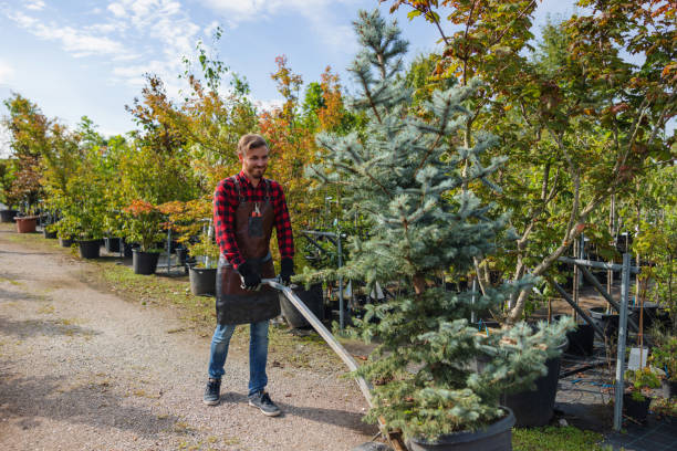 Tree Service Company in Lockport Heights, IL